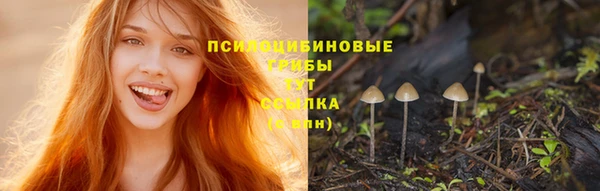 ALPHA-PVP Аркадак